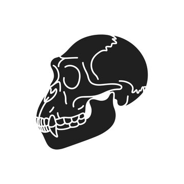 A stark black and white illustration of a gorilla skull in profile