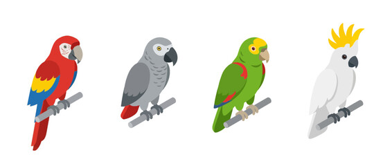 Obraz premium parrot flat color isometric vector