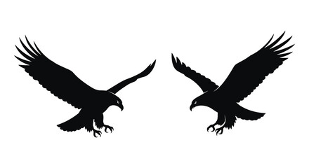 Fototapeta premium Two eagles in flight facing each other a striking silhouette