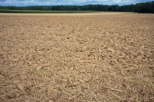 Rural landscape between Le Mesnil and Blancheface - Essonne - &Icirc;le-de-France - France