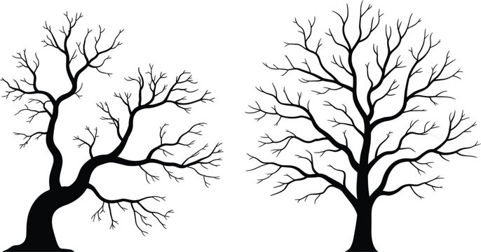 Bare tree silhouettes set, leafless branches collection, winter nature vector illustration design elements