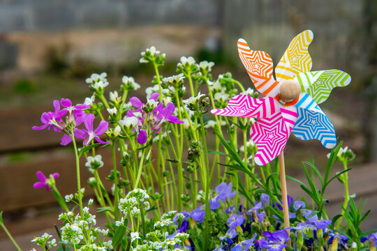 Colorful toy pinwheel in flower pot with blooming spring flowers, vibrant garden decoration with purple and white blossoms, cheerful backyard scene with spinning windmill and floral arrangement.