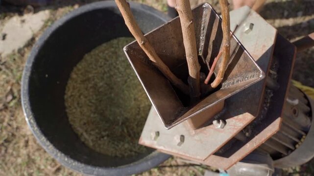 Processing branches after tree pruning in wood chipper close-up slow motion