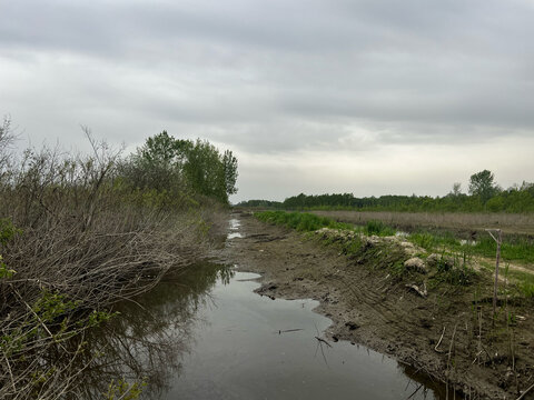 Sentiero fangoso lungo il canale