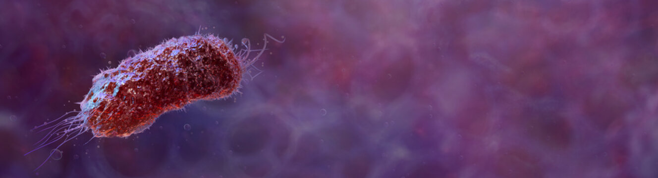 Bacterial cell medical banner composition: Rod-shaped bacterium morphology with copy space for text in microscopic environment. For infection topics, laboratory research visuals, medical presentations