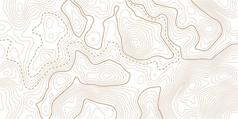 Abstract pattern with lines seamless pattern and topography map and counter map.Topography and geography map grid abstract backdrop. © MITA