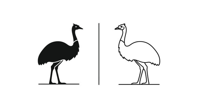 Ostrich vs Emu: Key Differences in Flightless Birds Vector