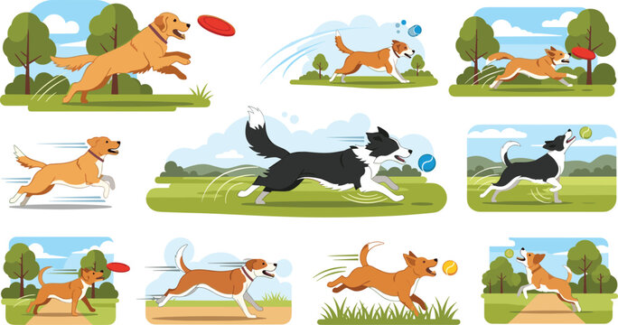 Active dogs playing outdoors vector illustration set with running jumping fetching frisbee in park landscape scenes