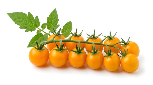 Golden berries with leaves isolated on white background