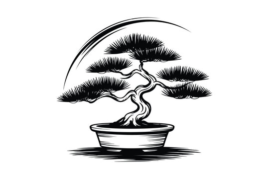 Black and white ink of a bonsai tree in a pot