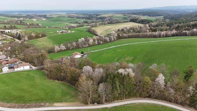 Naturfotografie aus Nieder&ouml;sterreich

