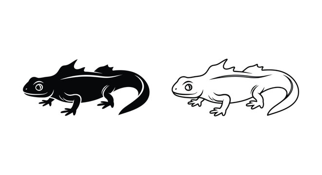 Salamander vs Newt: Key Differences Illustrated Vector