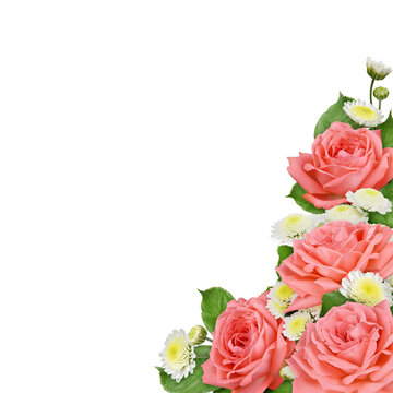 Coral rose flowers and chrysanthemums in a floral corner arrangement isolated on white or transparent background