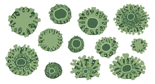 A diverse collection of vibrant green organic shapes resembling microscopic cells features intricate textures and varying shades of mossy emerald colors.