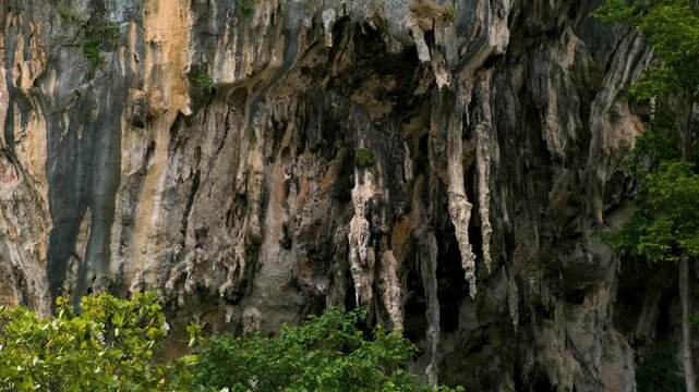 Close up view of limestone cave formations and stalactites at Phra Nang Beach in Krabi, Thailand. Dramatic rock textures and tropical vegetation. Geological formation and travel concept