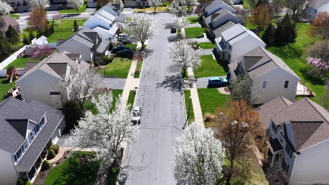 Peaceful suburb neighborhood with single family houses in America. During sunny day. Aerial backwards shot. Blooming trees in spring season. Pennsylvania, USA.