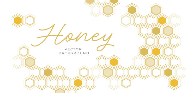 Honeycomb hexagon pattern border frame on white background. Vector geometric background template with hexagonal cells and empty center area. Beekeeping and honey production concept.
