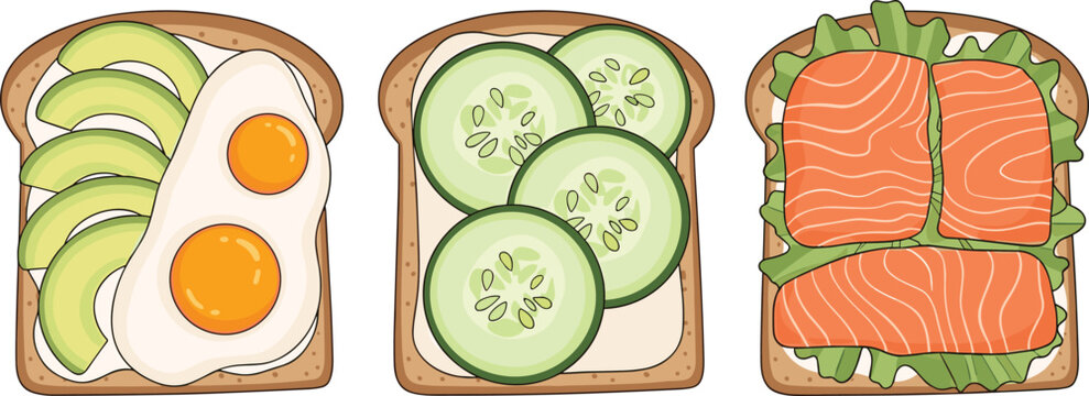 Toast sandwiches set with avocado egg cucumber salmon vector illustration breakfast food collection tasty design