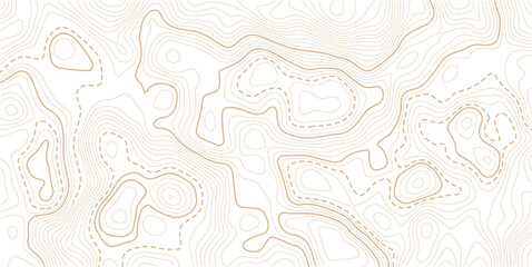 Light topographic topo contour map background. Geographic abstract grid. vector illustration . Topography and geography map grid abstract backdrop. Business concept. Vector illustration  © NAZMA