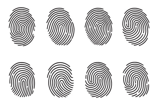 Biometric fingerprint icon set, 8 vector thumbprint symbols for security. Fingerprint icon. Simple outline style for web and app. Fingerprint identity and security symbols, scanning icon. EPS 10. 