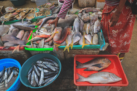 Various raw fishes in the morning market in Kedonganan - Passer Ikan, Jimbaran beach, Bali