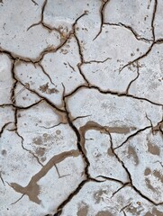 Obraz premium Dry cracked earth surface with salt crust deposits in desert