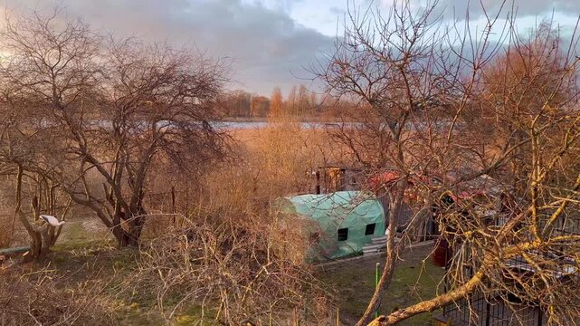 Rural backyard garden with leafless trees and small greenhouse near river during early spring sunset light in quiet countryside landscape
