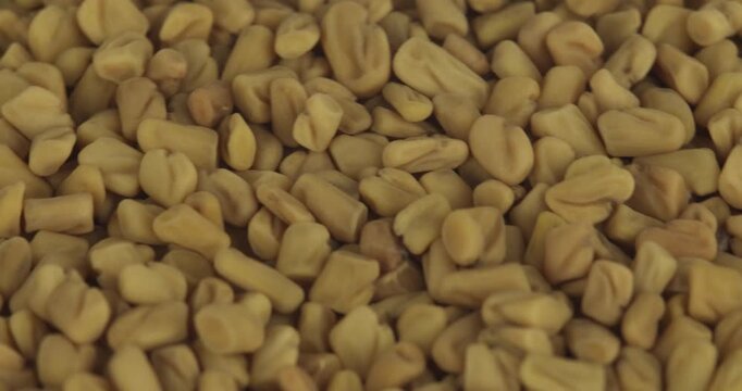 fenugreek seeds closeup rotating selective focus 4k 30fps