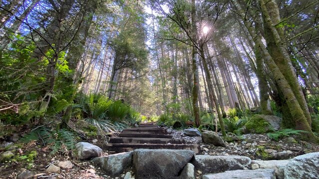 Vancouver Grouse Grind trail