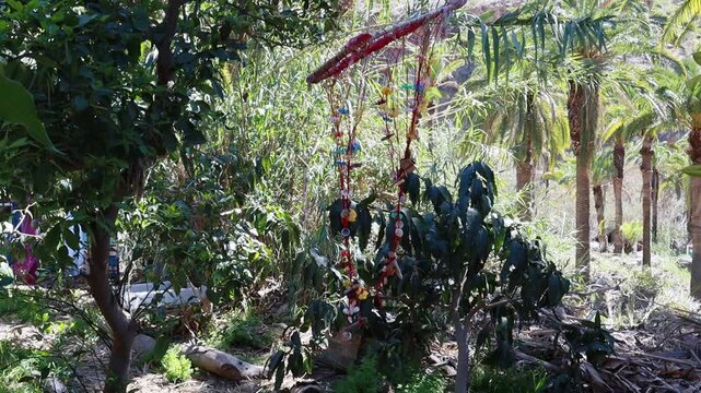 dreamcatchers moved by the gentle morning breeze