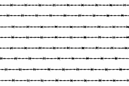 Rows of black barbed wire against a stark white background