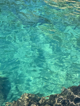 Sea with clear blue water vertical.