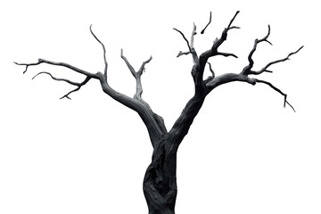 Fototapeta premium Gnarled dead tree with leafless branches showing decay, isolation, and a spooky, desolate winter silhouette on transparent background