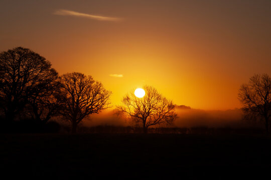 Misty golden sunrise and tree silhouette in Norfolk UK
