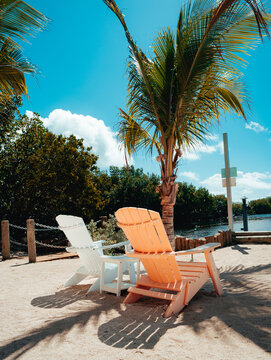 Colorful Adirondack chairs under palm tree by the water on sunny day
