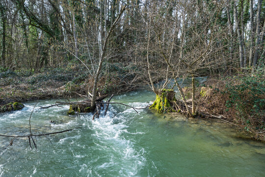 La Promenthouse au printemps, rivi&egrave;re paisible serpentant dans une for&ecirc;t de feuillus