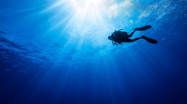 Diver Explores Underwater Scene in Clear Blue Ocean During Daytime