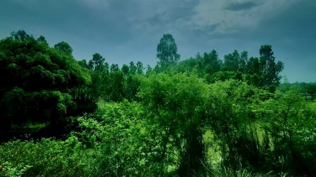 A serene greenish pond bordered by dense trees and a narrow roadside fence reflects cloudy sky, captured from a moving train in India.