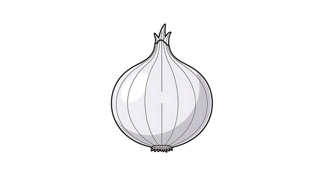 onion icon, cooking ingredient vector symbol isolated