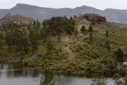 view of the lake