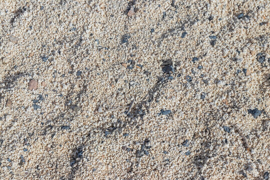 Popcorn-shaped white coral stones on the famous popcorn beach in Corralejo at Fuerteventura, Canary Islands, Spain. Natural background