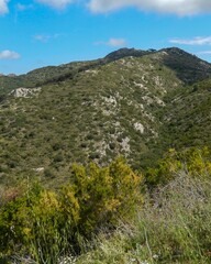 Fototapeta premium Green mediterranean hills and blue sky over tuscany