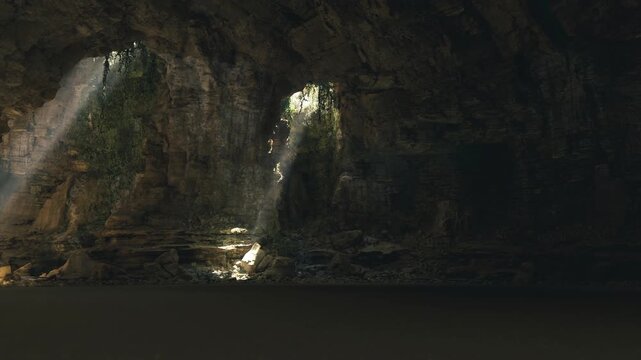 Small sunlit plant pocket on cave floor in Waitomo Glowworm Caves, fragile greenery lit by focused beam, moist limestone substrate, microhabitat detail and soft