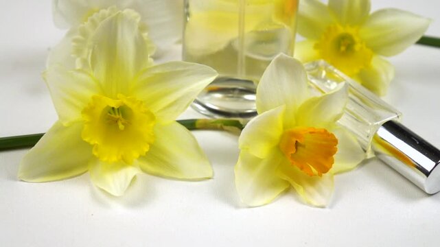 Bottles with perfumes and eau de toilette, fresh flowers daffodil are on a white background, side view, slow motion