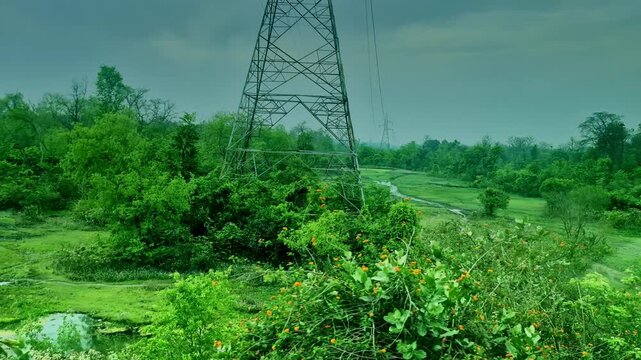 View from a moving train in India showing a wide expanse of lush green fields bordered by dense forest, with scattered trees and power lines under a cloudy, overcast sky.