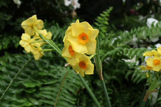 This is my journey with macro photography. I love plants, bugs, creepy crawly things and pretty much anything very close up. 