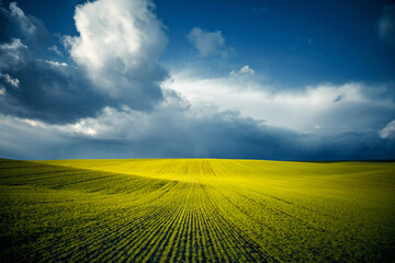 Obraz premium Bright green fields stretch under a dramatic sky showcasing nature's incredible beauty.