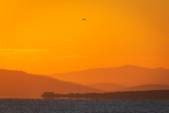 In the center of Didim
