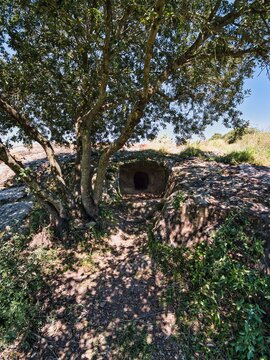 Le domus de janas genna e salixi
