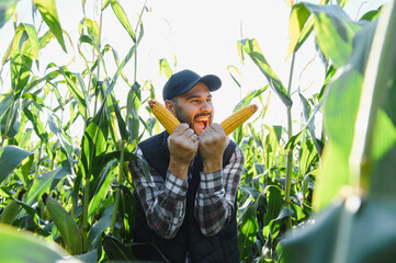 Farmer harvesting corn creating excited expression in cornfield © Serhii